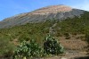 Sopka Grann Cratere La Fossa Di Vulcano